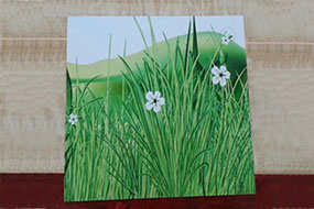 Digital Printing Aluminum Composite Panel