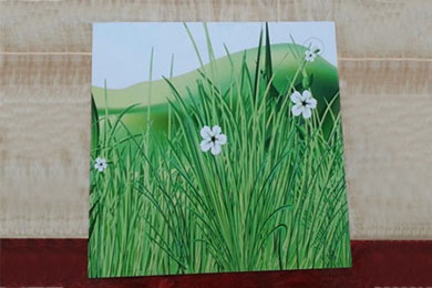 Digital Printing Aluminum Composite Panel